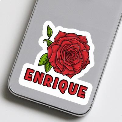 Sticker Enrique Rosenblüte Notebook Sticker Enrique Rosenblüte Gift package Image