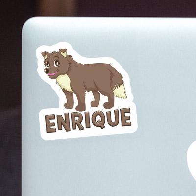 Chien de berger Autocollant Enrique Laptop Chien de berger Autocollant Enrique Laptop Image