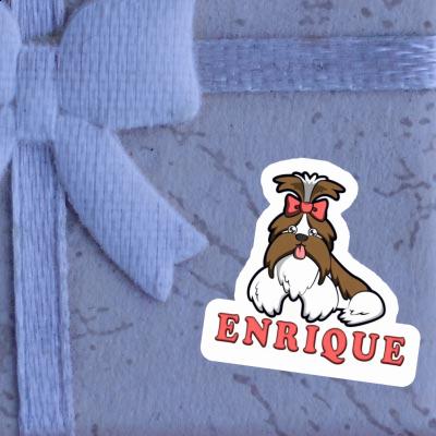 Aufkleber Enrique Shih Tzu Notebook Aufkleber Enrique Shih Tzu Notebook Image