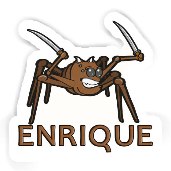 Araignée Autocollant Enrique Notebook Araignée Autocollant Enrique Gift package Image