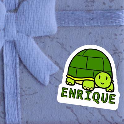 Aufkleber Schildkröte Enrique Notebook Image