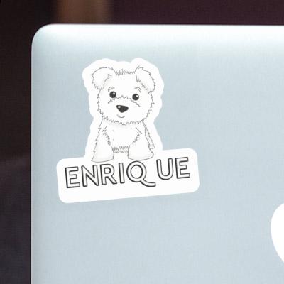 Aufkleber Terrier Enrique Laptop Aufkleber Terrier Enrique Laptop Image
