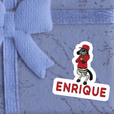 Enrique Sticker Zebra Notebook Image