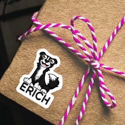 Autocollant Border Collie Erich Gift package Image