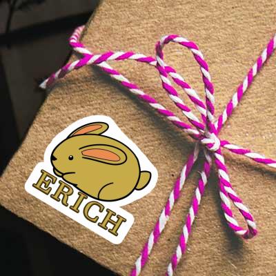 Erich Autocollant Lapin Gift package Image