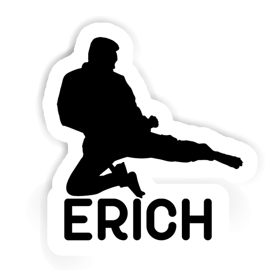 Erich Sticker Karateka Laptop Image