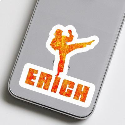 Erich Sticker Karateka Notebook Image