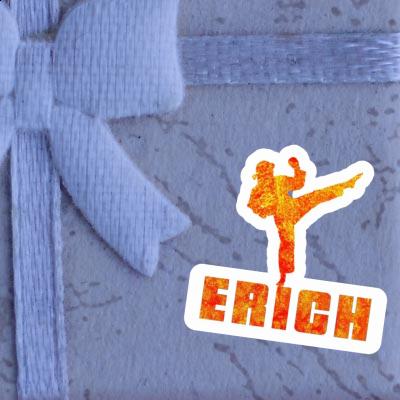 Erich Sticker Karateka Image