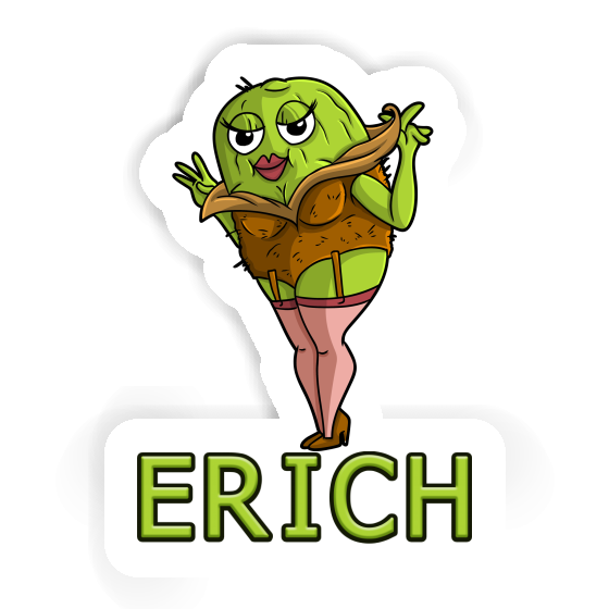Sticker Kiwi Erich Laptop Image