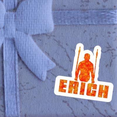 Erich Sticker Ring gymnast Laptop Image