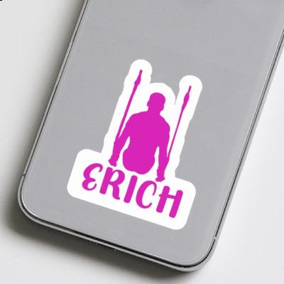 Erich Sticker Ringturnerin Laptop Image
