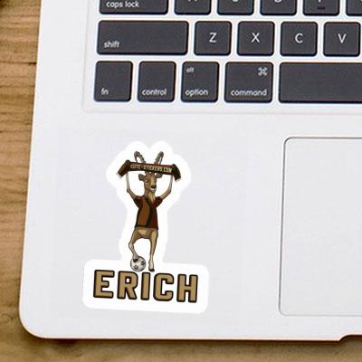 Erich Sticker Capricorn Gift package Image