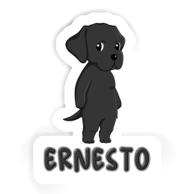Sticker Labrador Retriever Ernesto Image