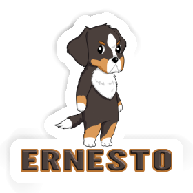 Sticker Ernesto Bernese Mountain Dog Image
