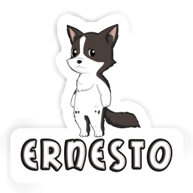 Border Collie Sticker Ernesto Image