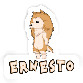 Collie Sticker Ernesto Image