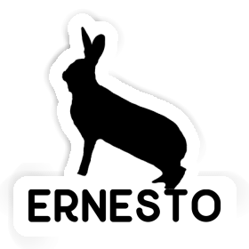 Sticker Rabbit Ernesto Image