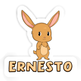 Sticker Ernesto Hare Image