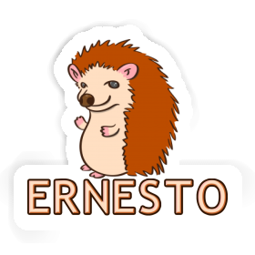 Autocollant Hérisson Ernesto Image