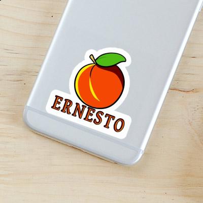 Apricot Sticker Ernesto Notebook Apricot Sticker Ernesto Gift package Image