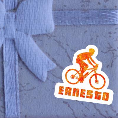 Biker Sticker Ernesto Notebook Biker Sticker Ernesto Gift package Image