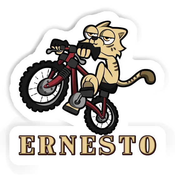 Ernesto Autocollant Chat à vélo Gift package Image