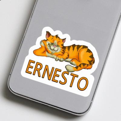 Katze Aufkleber Ernesto Gift package Image