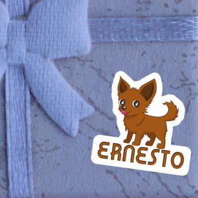 Ernesto Sticker Chihuahua Ernesto Sticker Chihuahua Image
