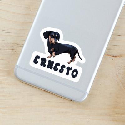 Dachshund Sticker Ernesto Dachshund Sticker Ernesto Image