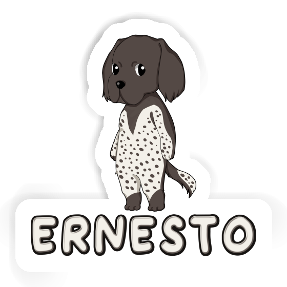 Sticker Ernesto Munsterlander Sticker Ernesto Munsterlander Image
