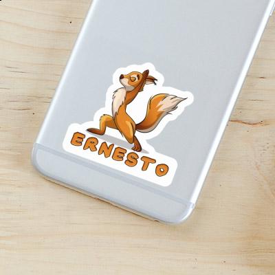 Sticker Yoga Squirrel Ernesto Gift package Image