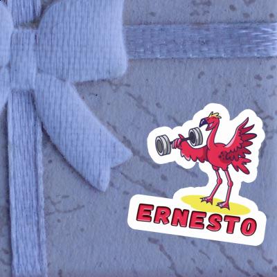 Sticker Flamingo Ernesto Notebook Image