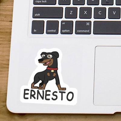 Ernesto Autocollant Pinscher Laptop Image
