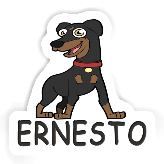 Ernesto Autocollant Pinscher Gift package Image