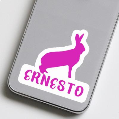 Rabbit Sticker Ernesto Notebook Image