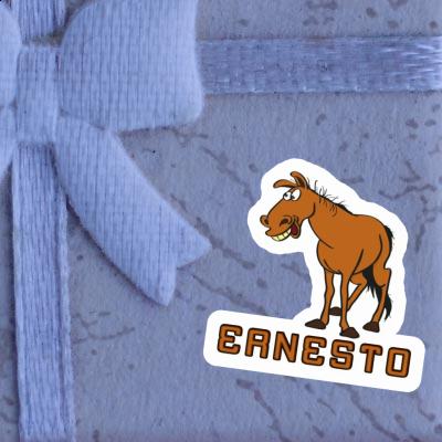 Ernesto Sticker Pferd Ernesto Sticker Pferd Image