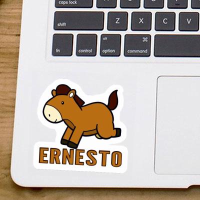 Cheval Autocollant Ernesto Notebook Cheval Autocollant Ernesto Gift package Image