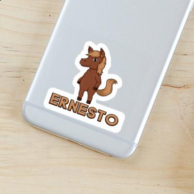 Cheval Autocollant Ernesto Laptop Cheval Autocollant Ernesto Laptop Image