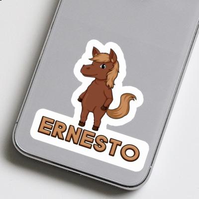 Sticker Horse Ernesto Notebook Sticker Horse Ernesto Gift package Image