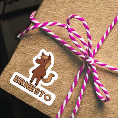 Cheval Autocollant Ernesto Notebook Cheval Autocollant Ernesto Gift package Image