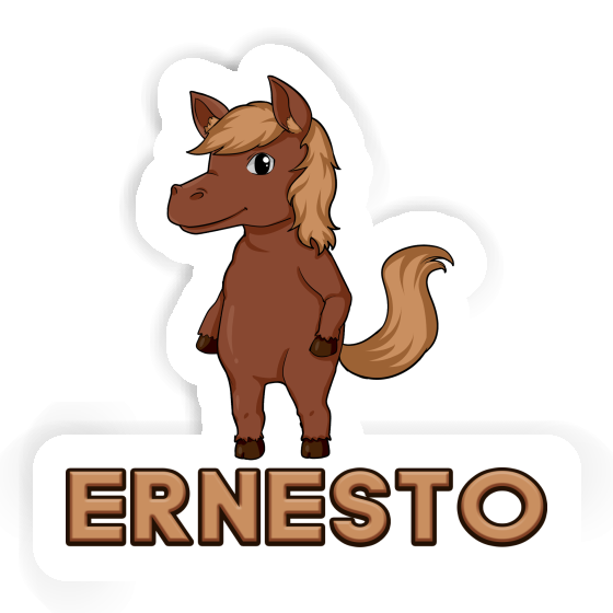 Sticker Horse Ernesto Notebook Sticker Horse Ernesto Gift package Image