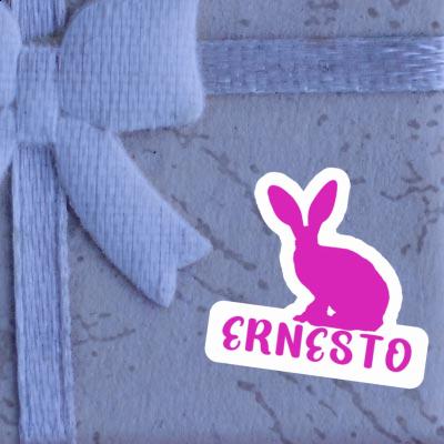 Ernesto Sticker Rabbit Ernesto Sticker Rabbit Image