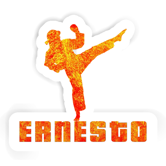 Karatéka Autocollant Ernesto Gift package Image