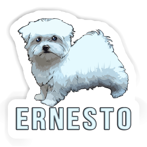Sticker Maltese Dog Ernesto Notebook Sticker Maltese Dog Ernesto Gift package Image