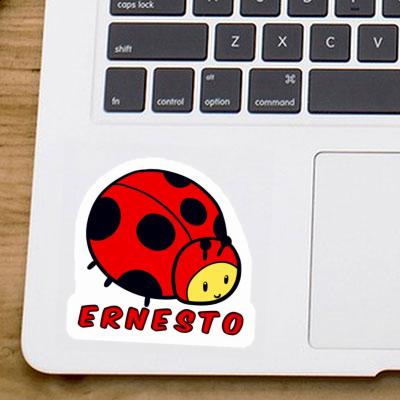 Sticker Ernesto Marienkäfer Notebook Image