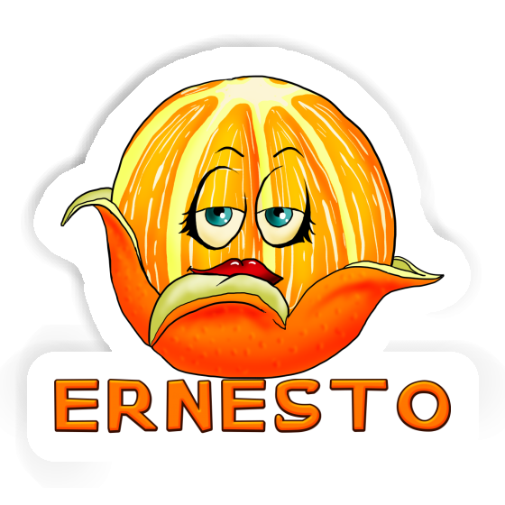 Ernesto Autocollant Orange Notebook Ernesto Autocollant Orange Gift package Image