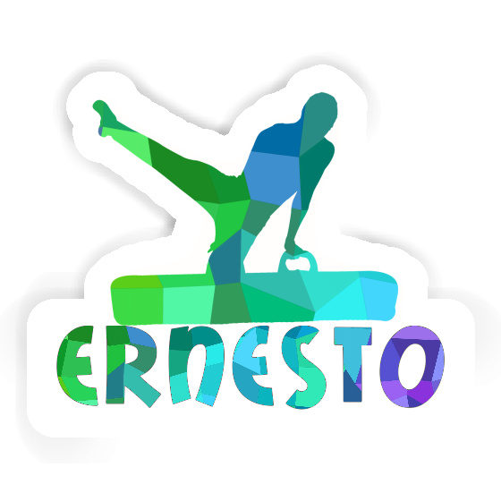 Ernesto Sticker Turner Notebook Ernesto Sticker Turner Gift package Image
