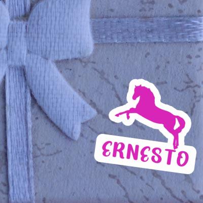 Ernesto Autocollant Cheval Notebook Ernesto Autocollant Cheval Notebook Image
