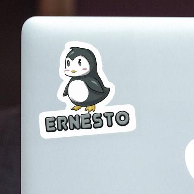 Aufkleber Ernesto Pinguin Notebook Aufkleber Ernesto Pinguin Gift package Image