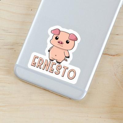 Ernesto Autocollant Porcelet Gift package Image